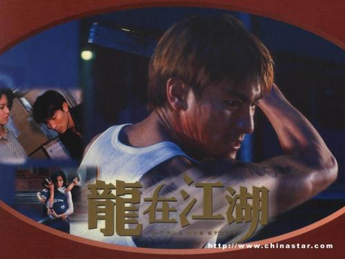 购买假购房合同